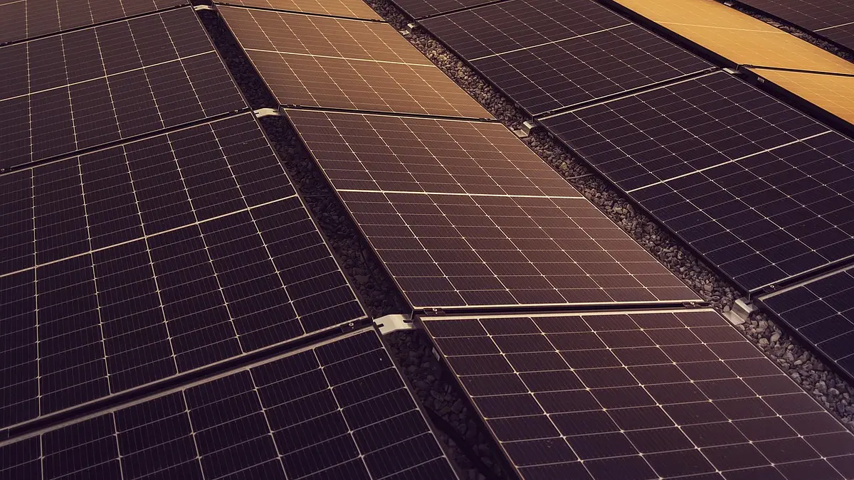 Green Bonds: Inwestowanie w Ekologiczne Obligacje 2025